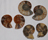 Image of ammonite polished pair, 3-5cm