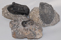 Image of Trilobites on Matrix, Polished