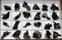 Image of smoky quartz flat