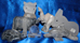 Image of mexican onyx animals number 2 natural