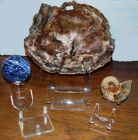 Acrylic Display Stands