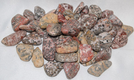 Image of tumbled leopard skin jasper