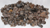 Image of tumbled turritella