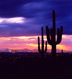 Image of Tucson Arizona