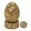 Pakistani Onyx fossil colored eggs PAK 1291