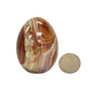 Pakistani Onyx green banded Eggs PAK 1292